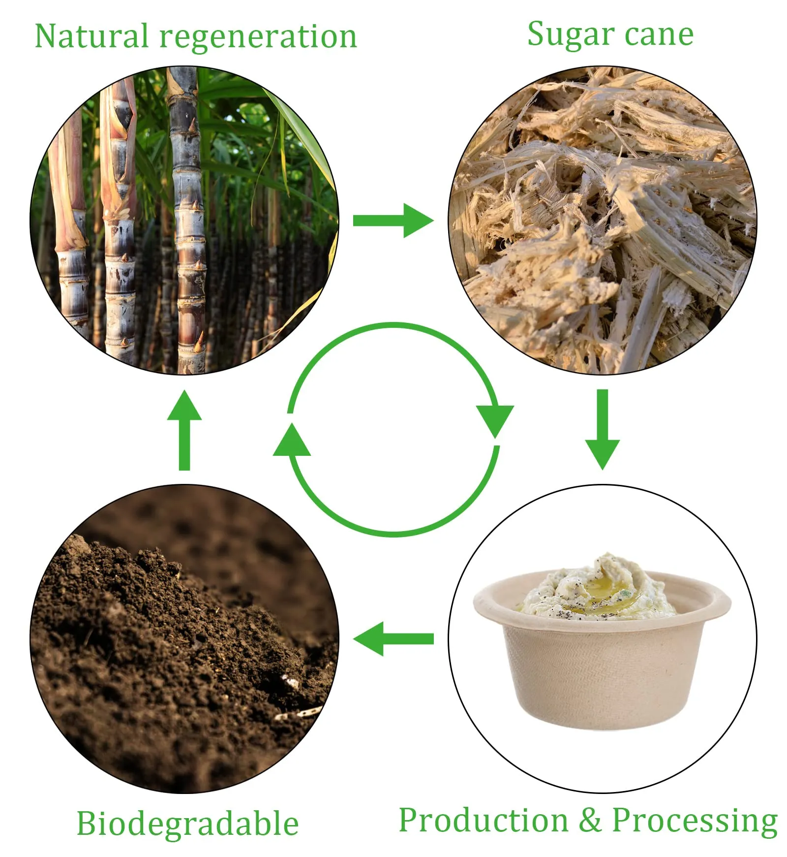 2 Oz Natural Bagasse Fiber Cups with Lids, 3 x 200 Pack - Paper Tasting Cups Disposable Sample Food cups Canada