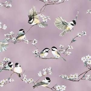 A Little Birdie Told Me Dusty Mauve