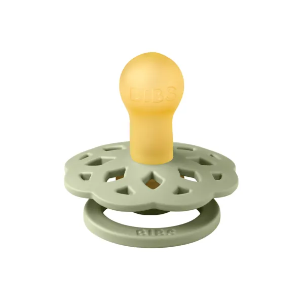 BIBs Boheme Dummies | 2 Pack | Sage & Cloud