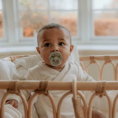 BIBs Boheme Dummies | 2 Pack | Sage & Cloud