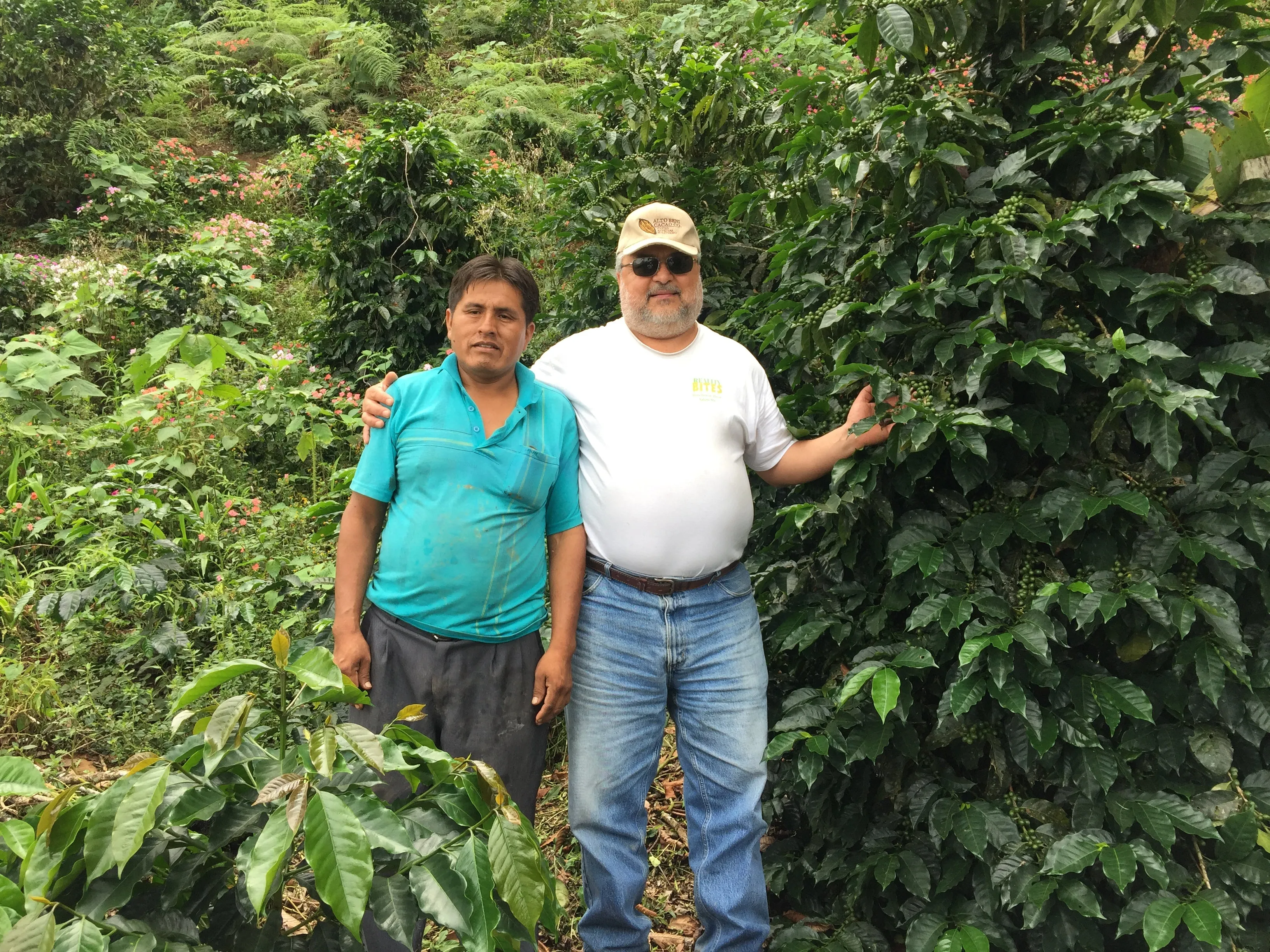 Bolivia FTO AA (Caranavi) Available IN CA, NJ and Salisbury MA. NEW CROP!