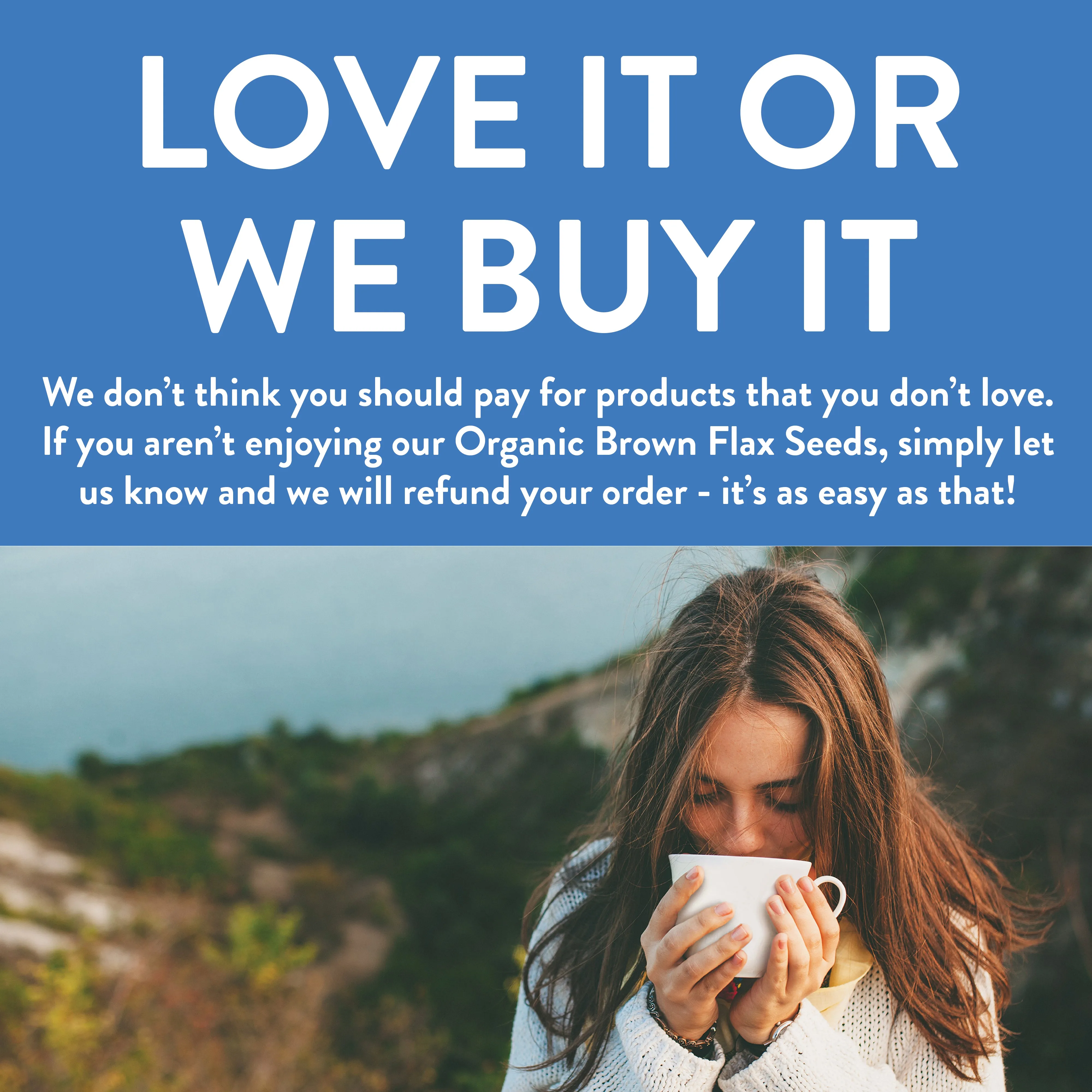Brown Flax Seed - Whole