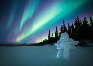 Call of the North
