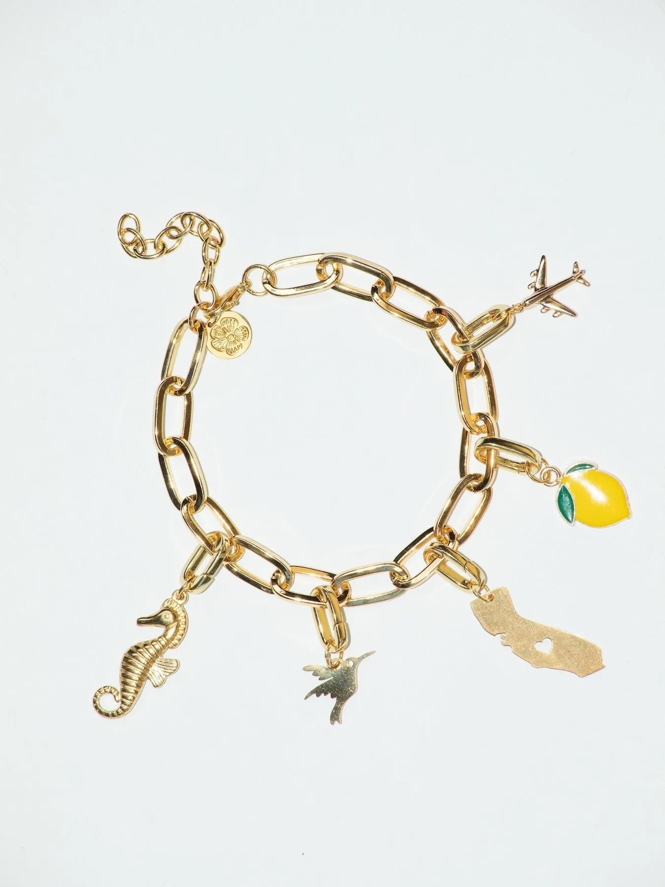 Charm Bracelet