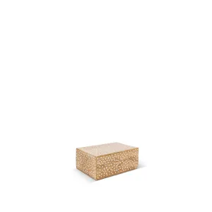 COINCASA WOODEN BOX