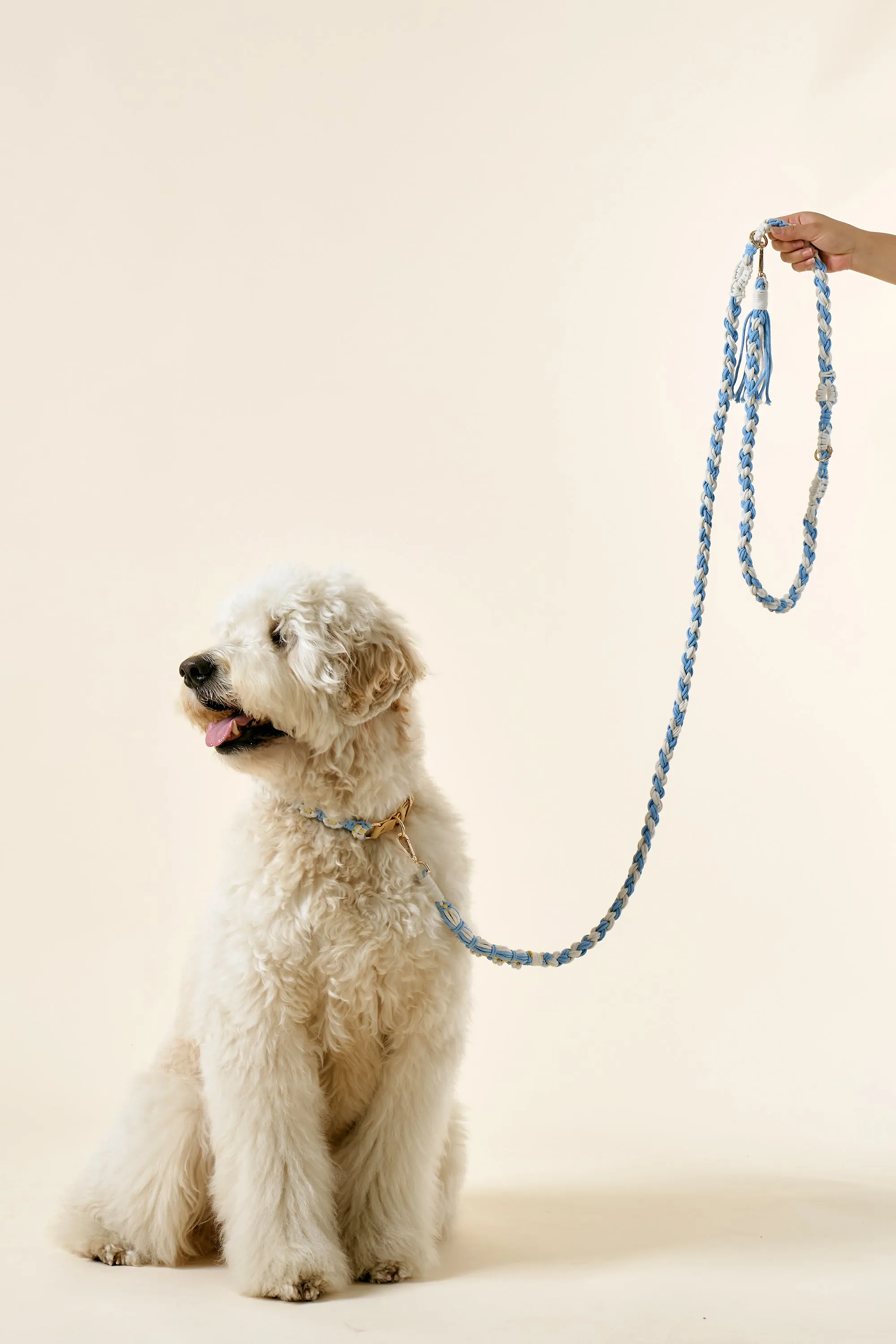 [COSONNE] Flower Macrame Hands Free Pet Leash(for pet)