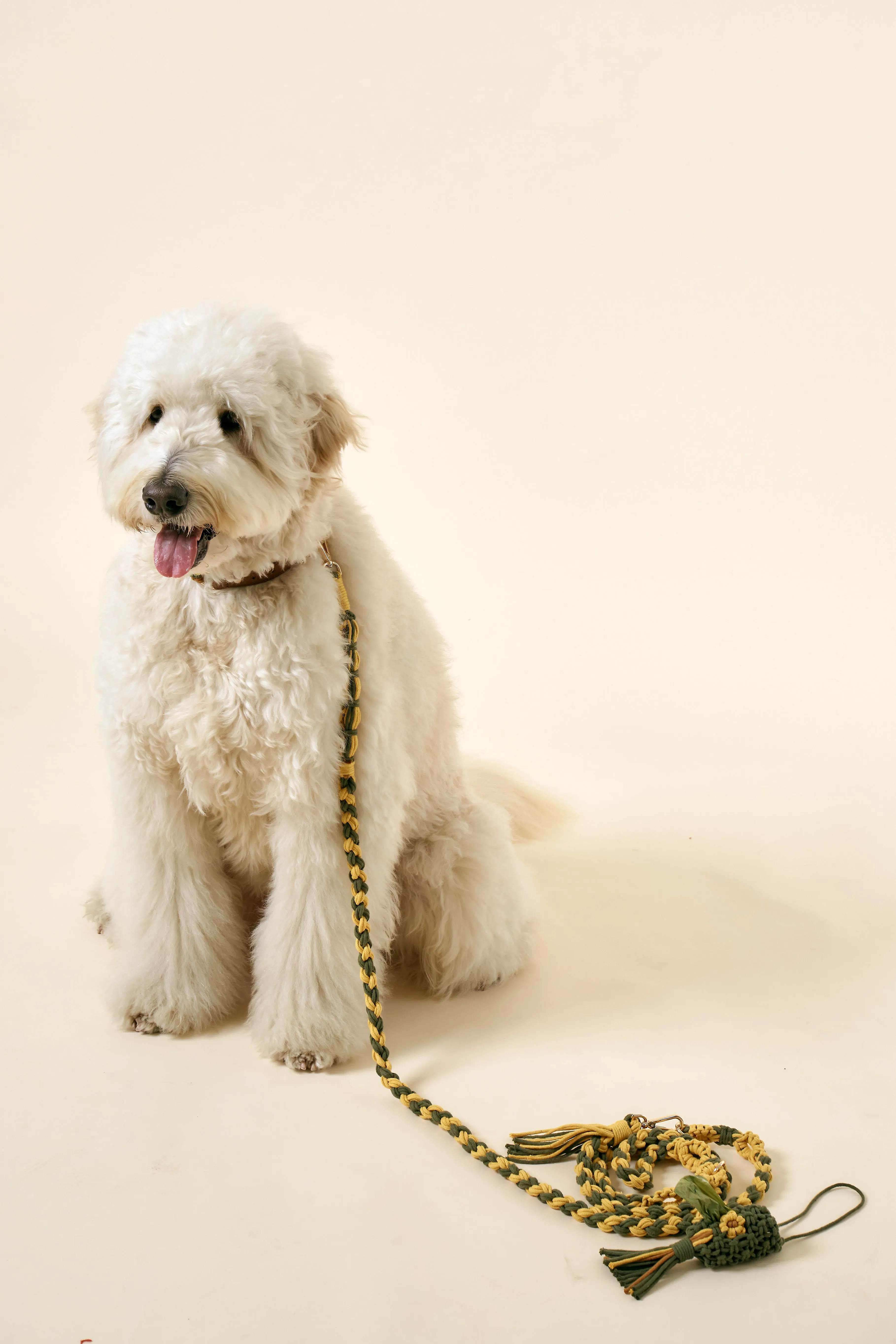 [COSONNE] Flower Macrame Neck Collar(for pet)