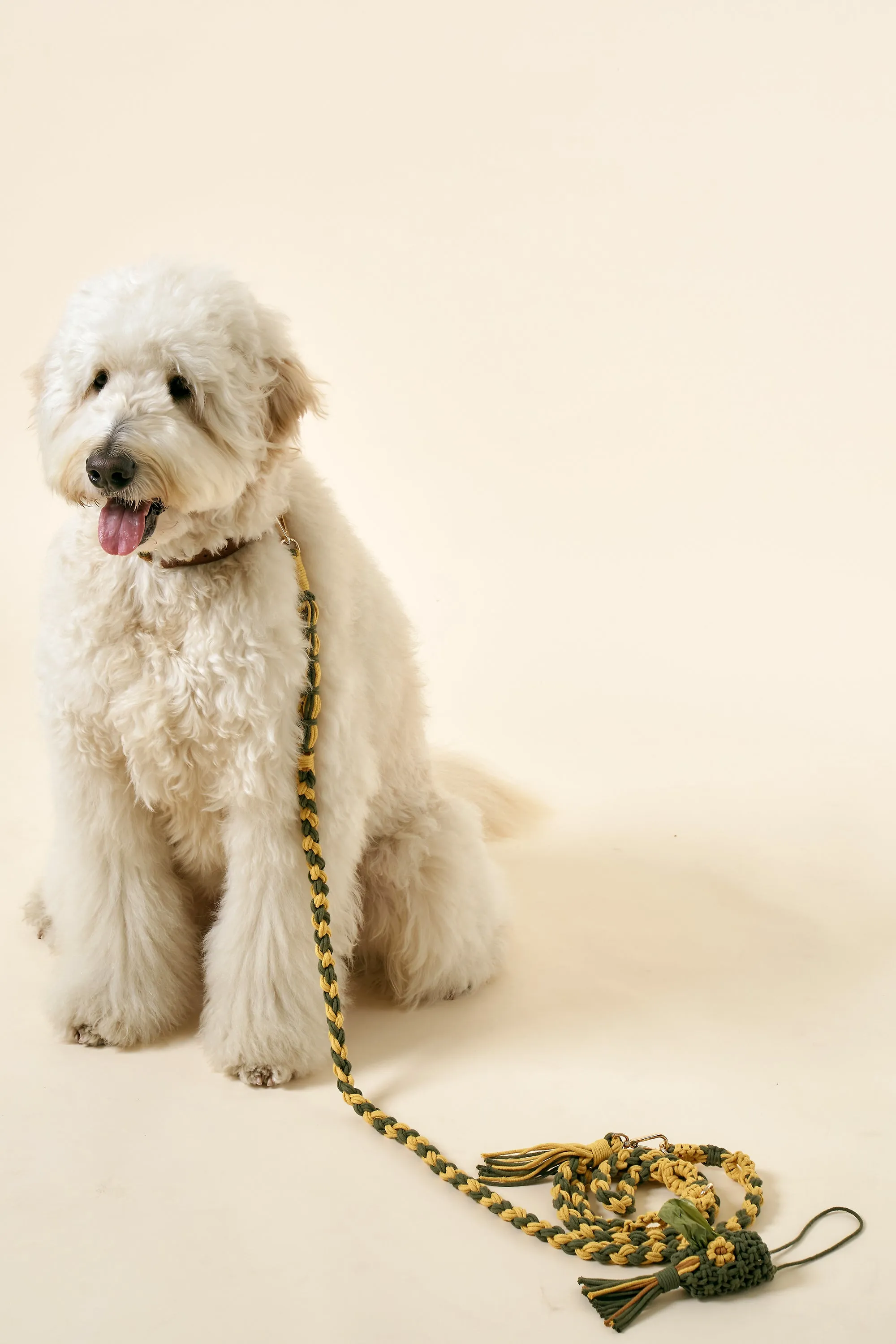 [COSONNE] Flower Macrame Pet Waste Dispenser