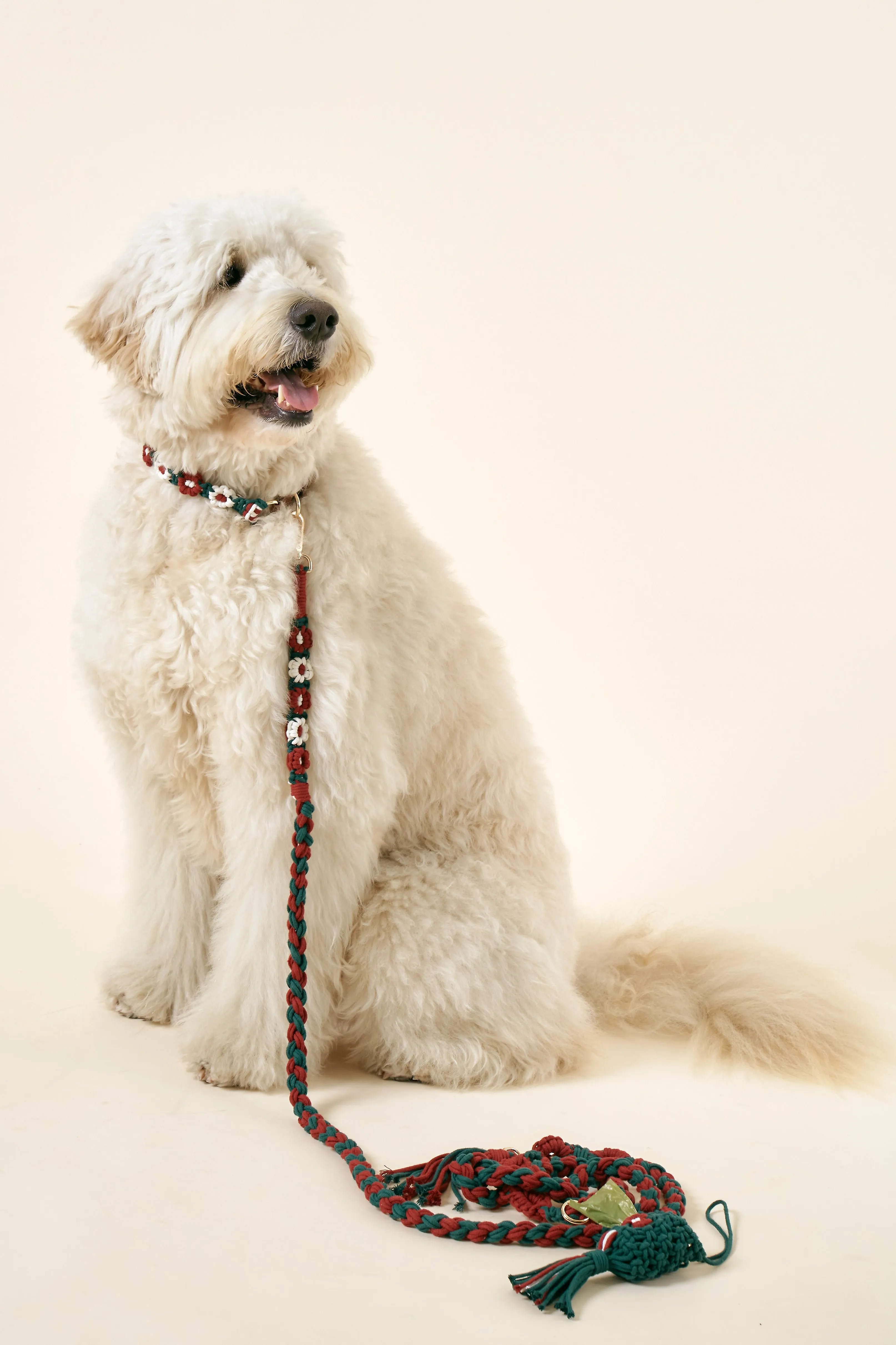 [COSONNE] Flower Macrame Pet Waste Dispenser