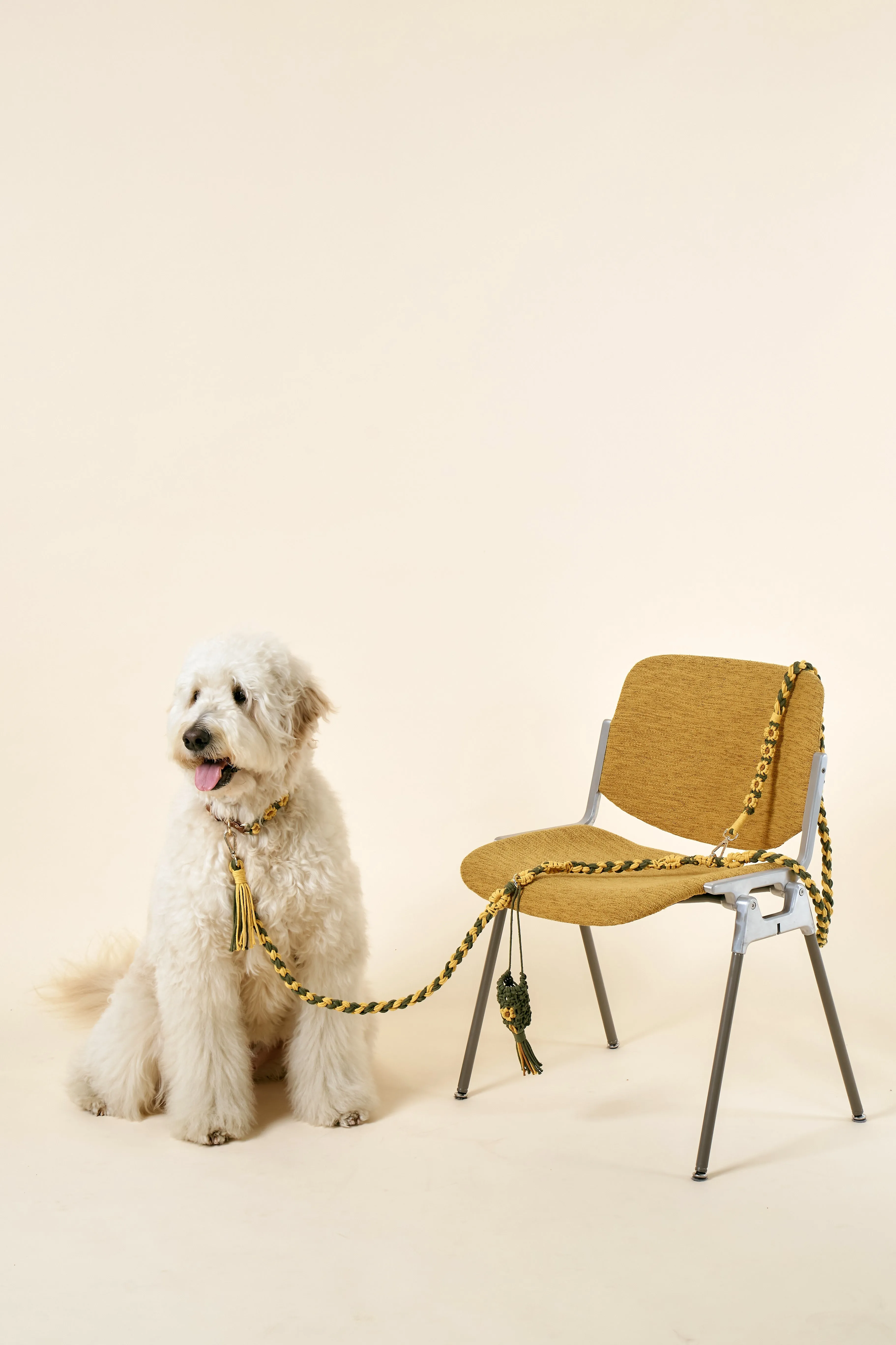 [COSONNE] Flower Macrame Pet Waste Dispenser