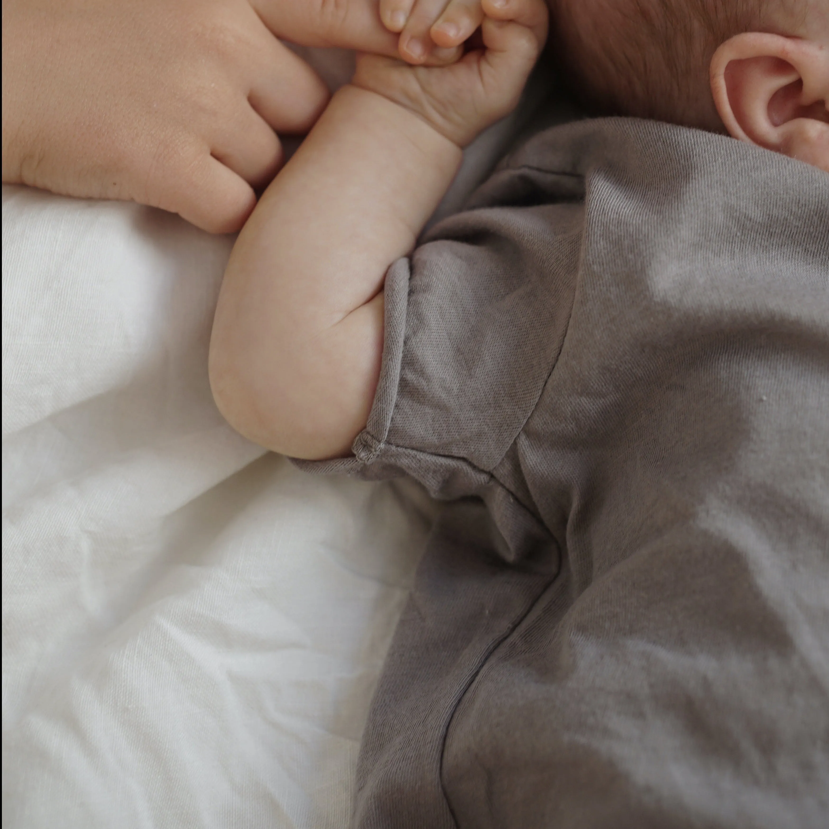 Cree Cotton Jersey Baby Bodysuit (Stone)
