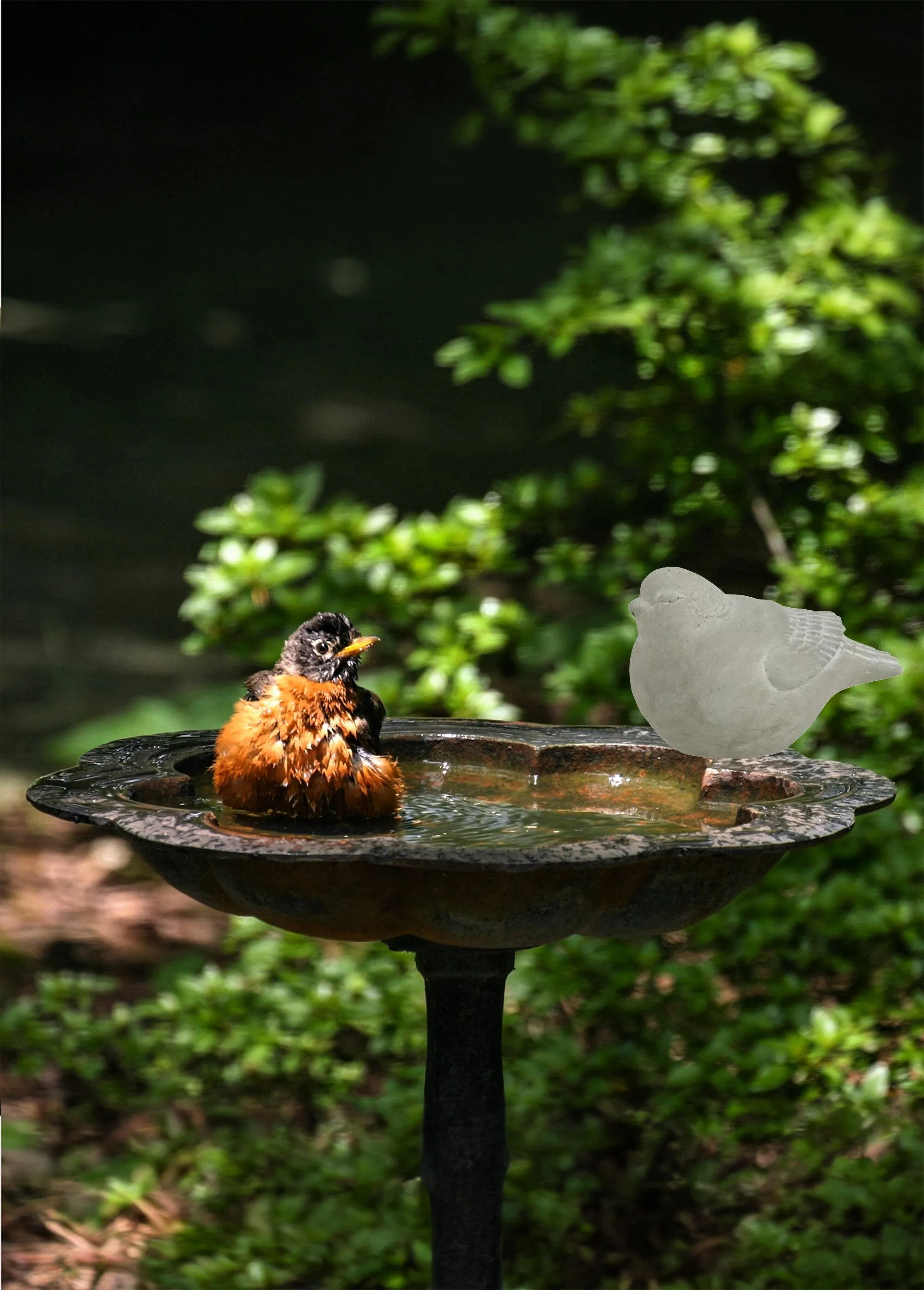 Decorative cement bird