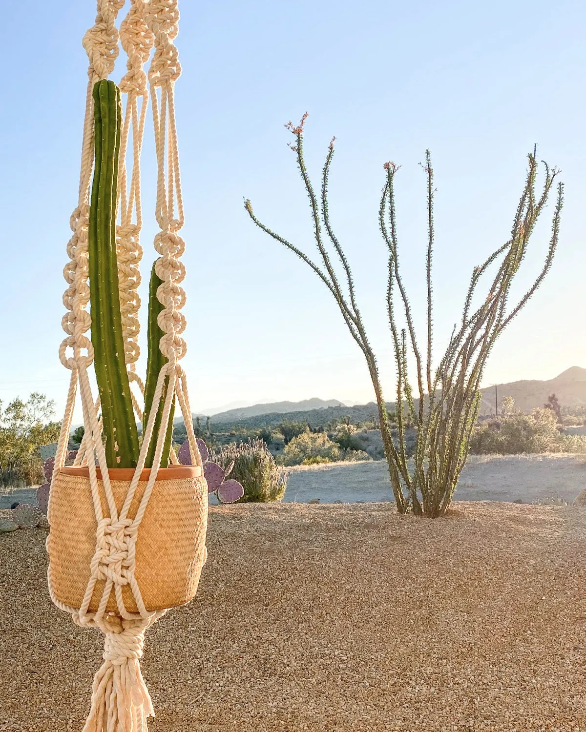 Elle Oversized Macrame Plant Hanger