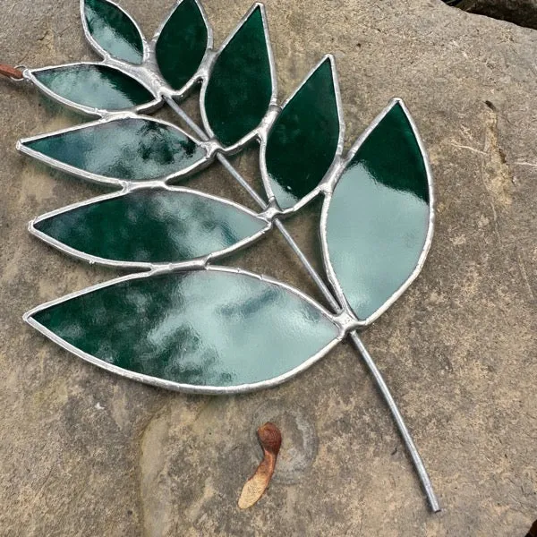 Fern - dark green