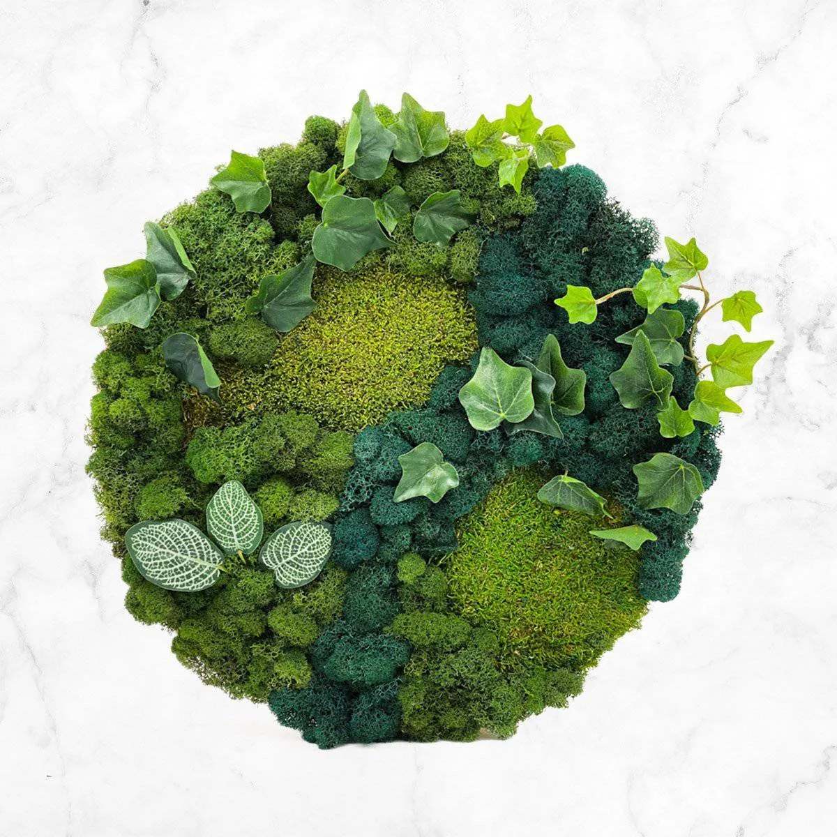 Flora Circular Hanging Moss Art