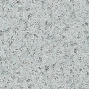 Fusions Regent Silver