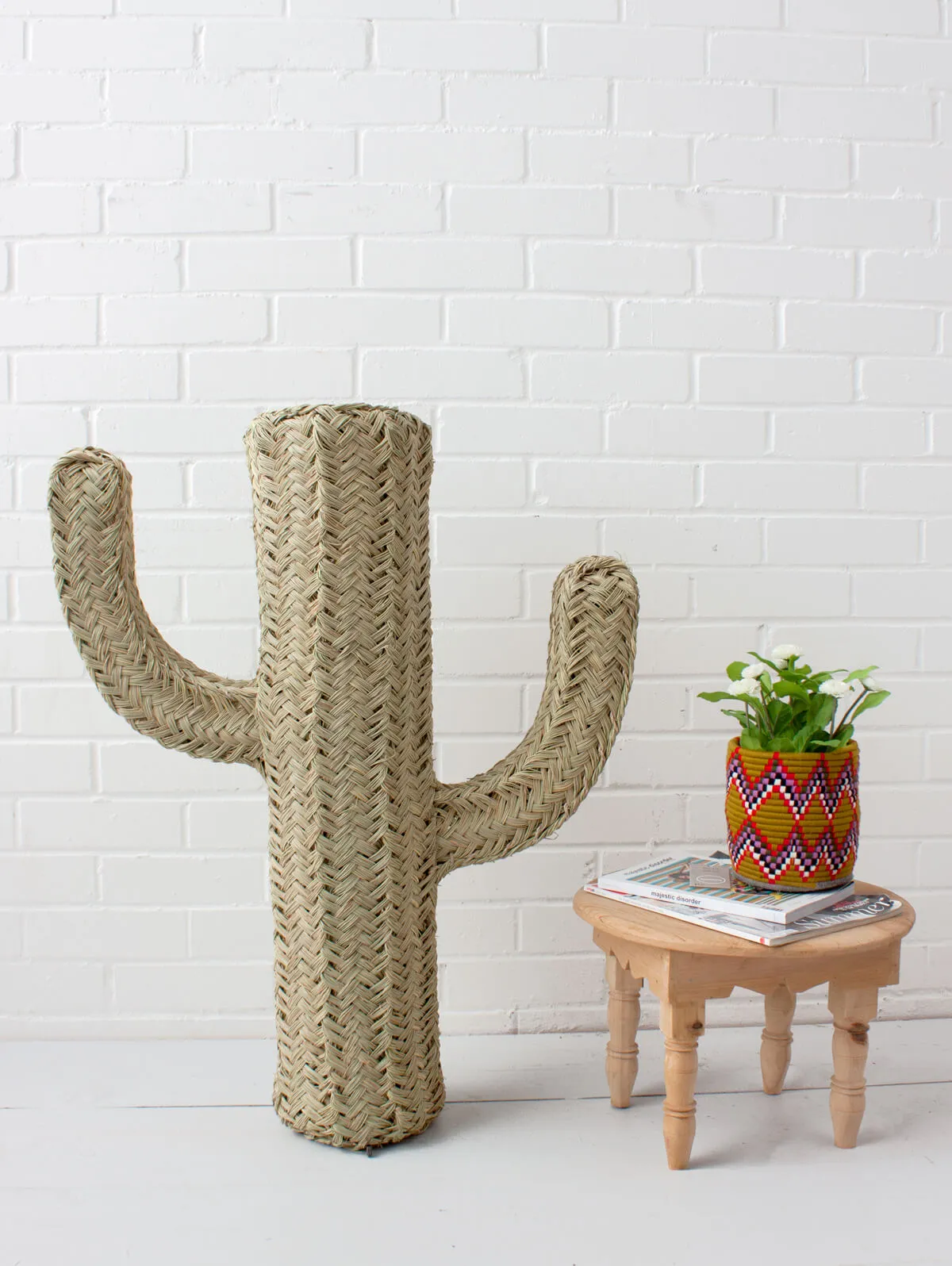 Halfah Grass Cactus