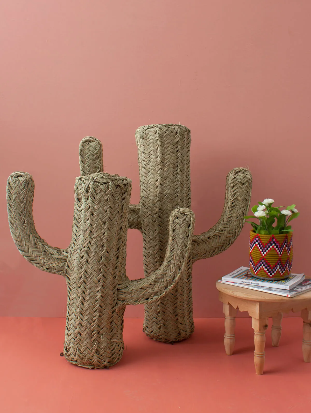 Halfah Grass Cactus
