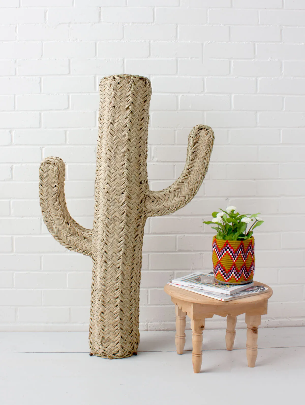 Halfah Grass Cactus