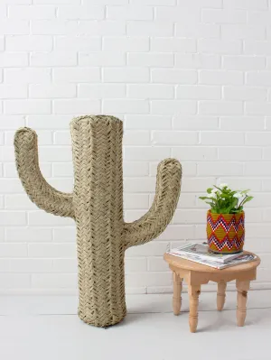 Halfah Grass Cactus