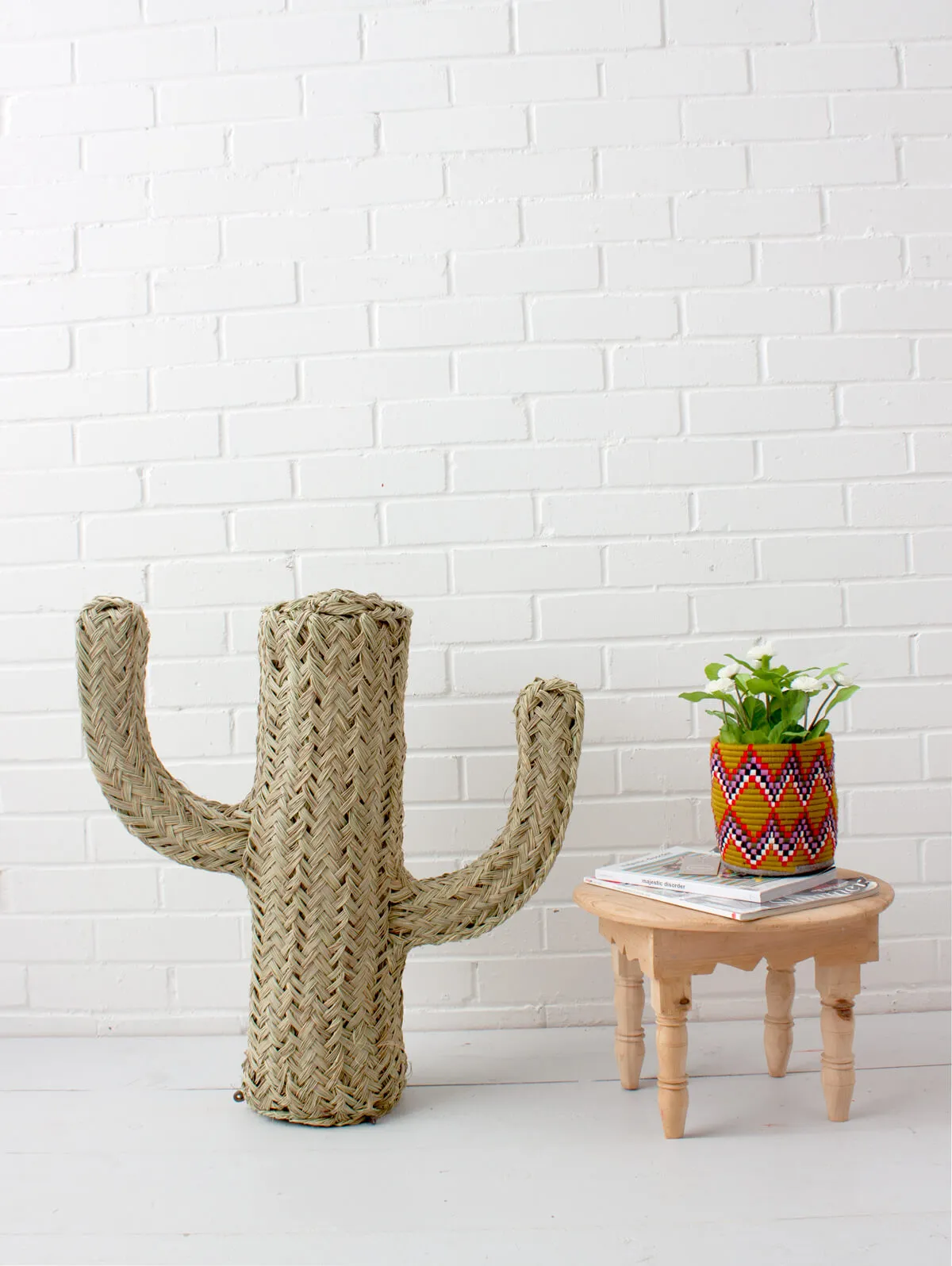 Halfah Grass Cactus