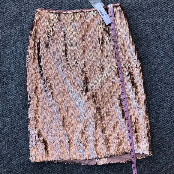J Crew sequin skirt size 2P