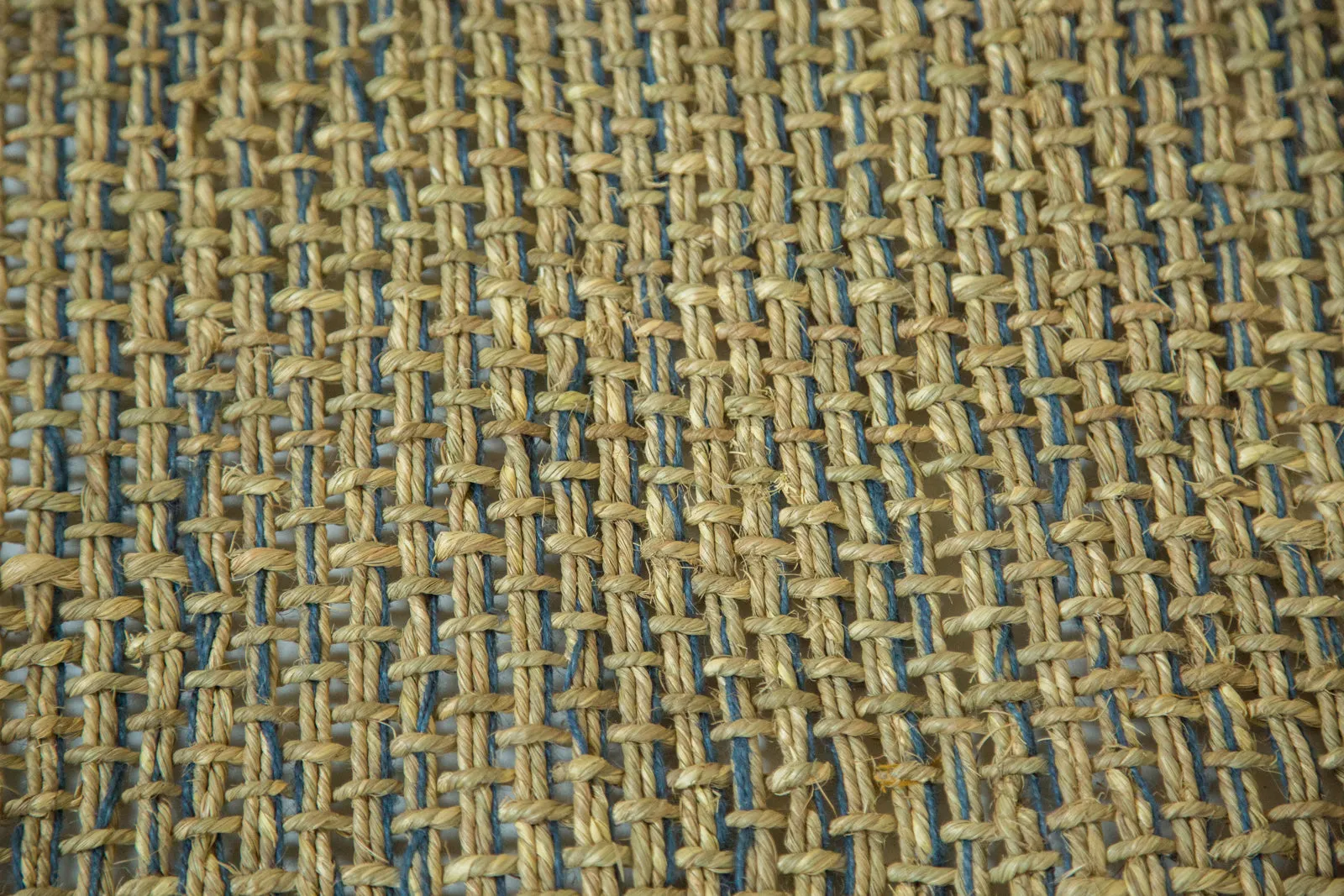 Lily New Carpet Collection