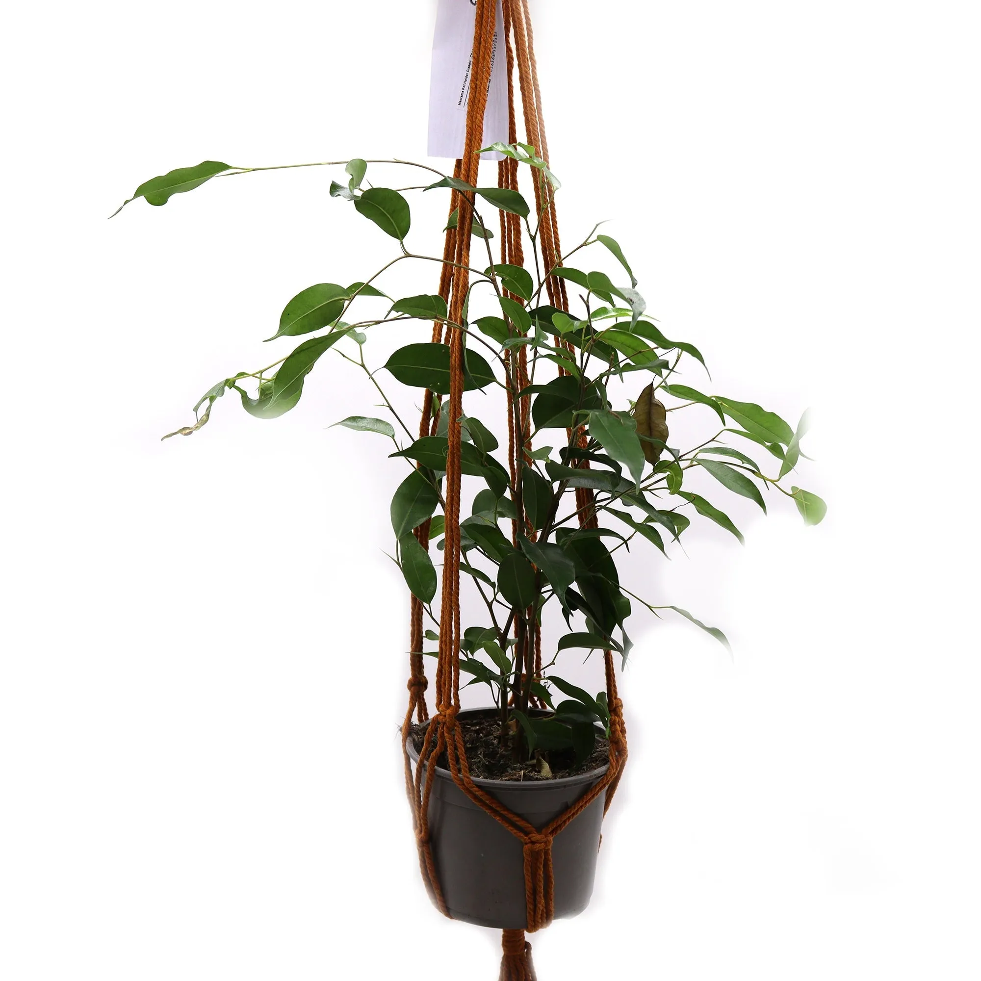 Macrame Pot Holder Classic - Chocolate Med Pot