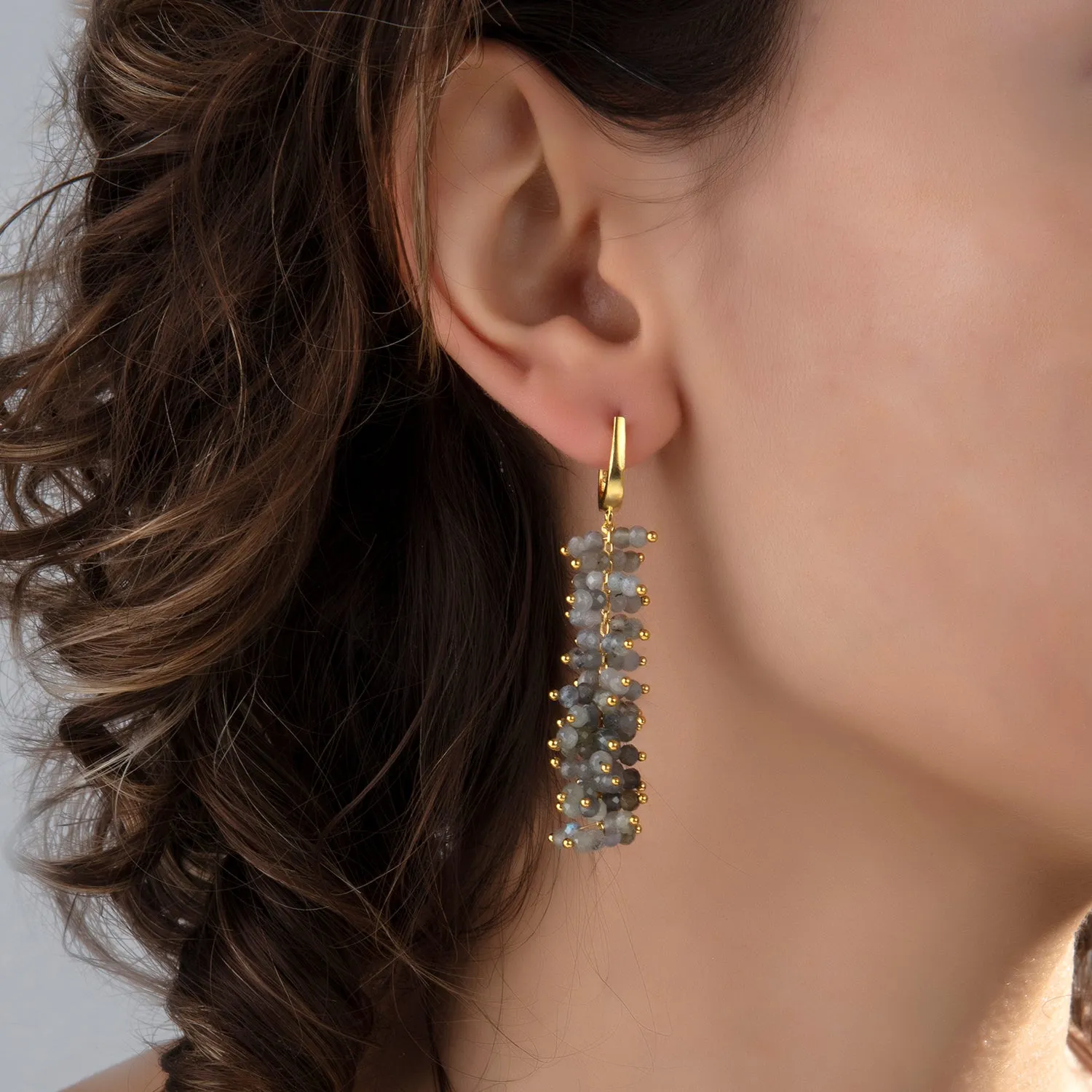 Madrid Labradorite Earrings