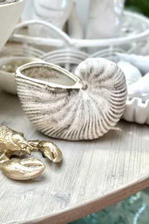 Nautilus Ceramic Planter - Natural