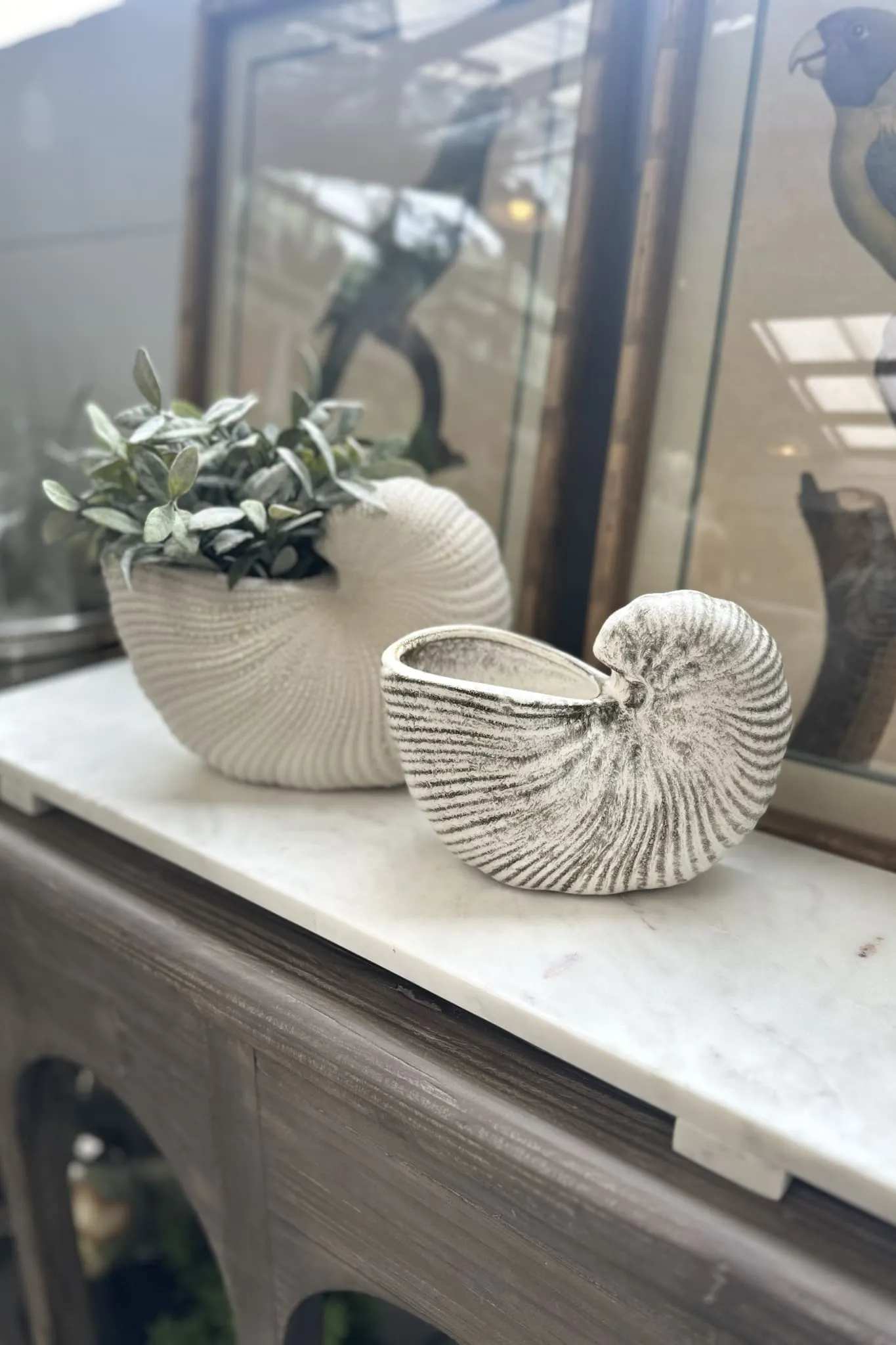 Nautilus Ceramic Planter - Natural