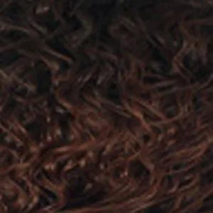 Outre Pretty Quick Synthetic Wrap Ponytail - BOHEMIAN COILS 18"