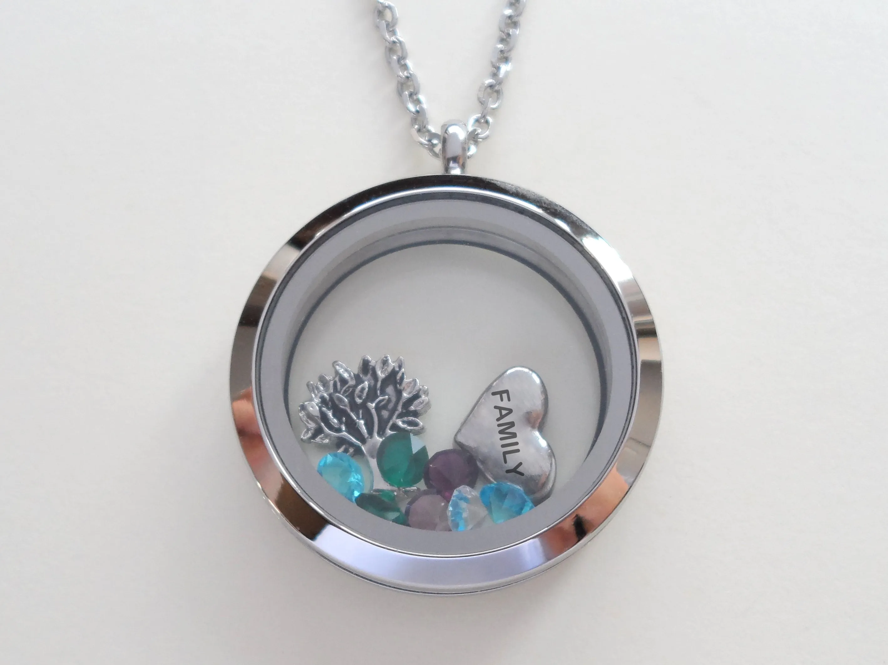 Personalized Large Plain Edge Circle Stainless Steel Floating Memory Locket Necklace for Mom or Grandma - by Jewelry Everyday