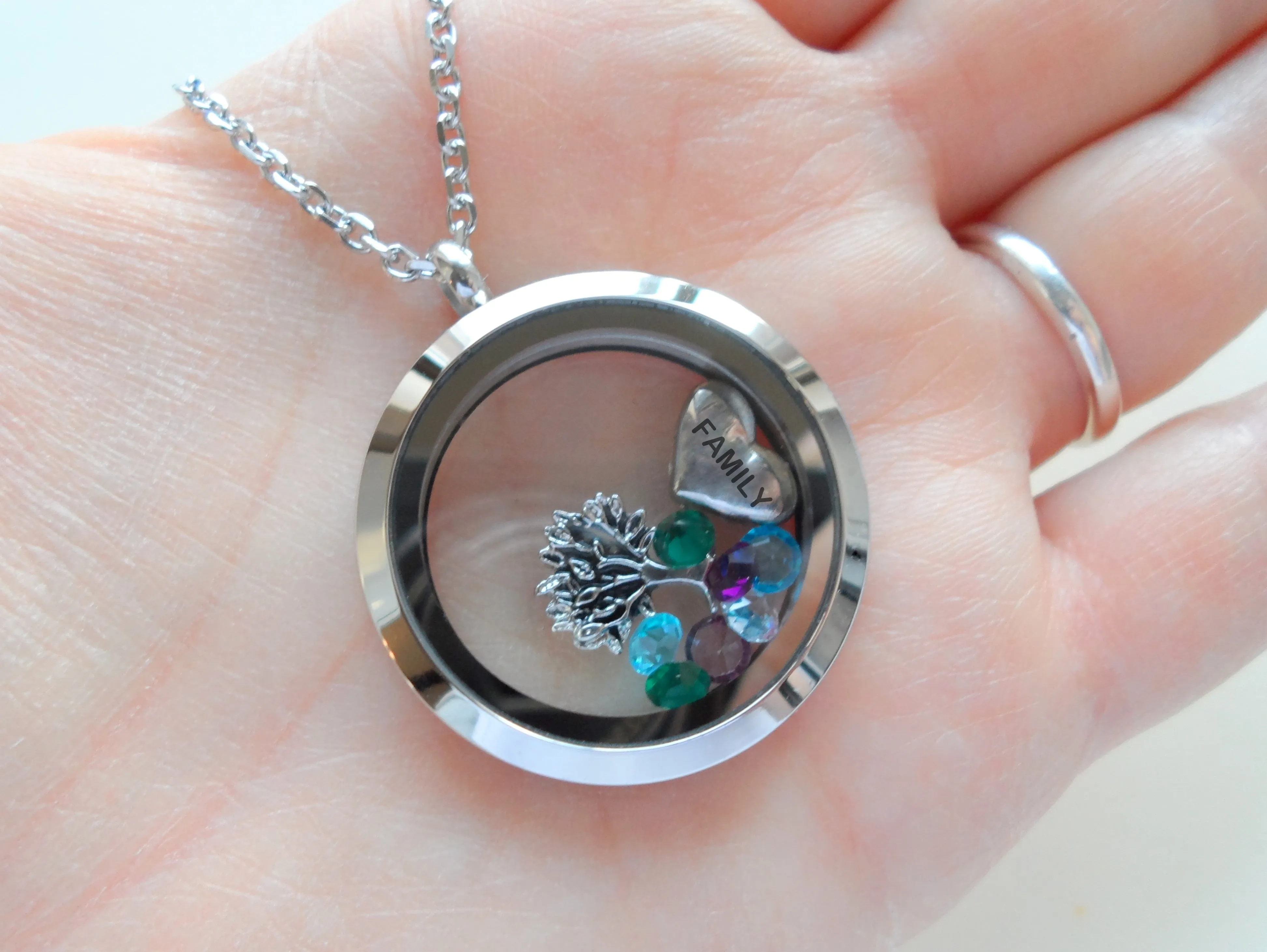 Personalized Large Plain Edge Circle Stainless Steel Floating Memory Locket Necklace for Mom or Grandma - by Jewelry Everyday