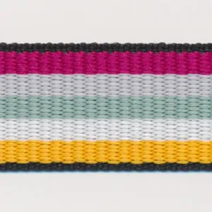 Rainbow Stripe Grosgrain Ribbon #10 Magenta & Gray & Light Green & White & Yellow