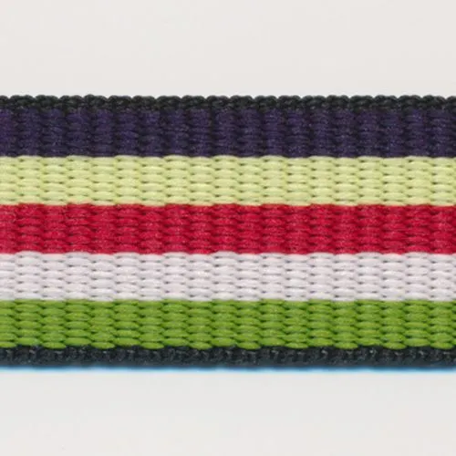 Rainbow Stripe Grosgrain Ribbon #11 Purple & Cream & Red & Pink & Light Green