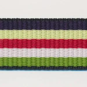 Rainbow Stripe Grosgrain Ribbon #11 Purple & Cream & Red & Pink & Light Green