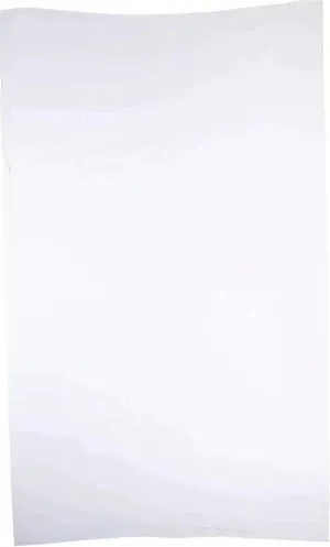 RiteSource - 2 lb, 4 x 2 x 10" White Poly Bags, 500/bx - 0306501
