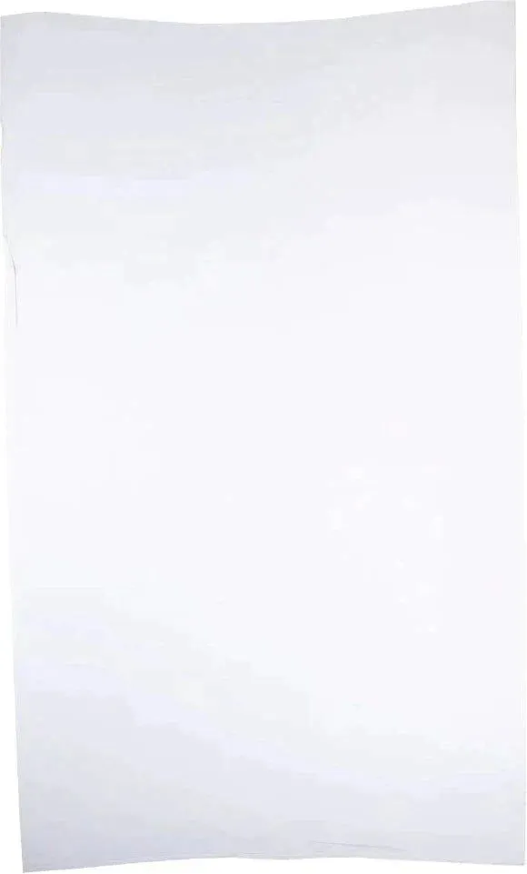 RiteSource - 2 lb, 4 x 2 x 10" White Poly Bags, 500/bx - 0306501