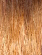 Sensationnel Instant Fashion Wig - Tamira