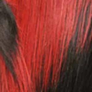 Sensationnel Lace Front Wig - ADELE - Clearance