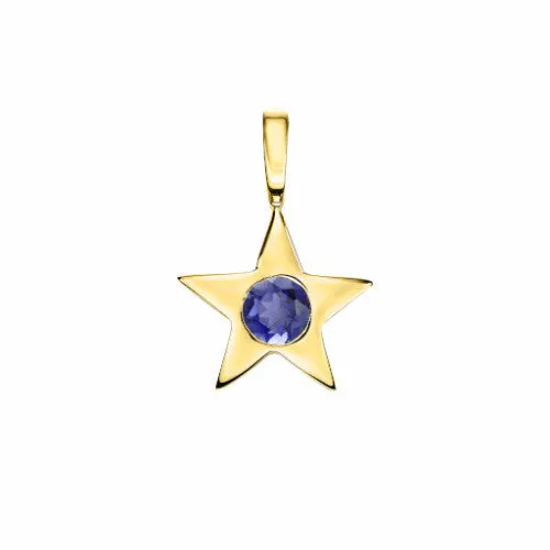 Star Birthstone Charm Necklace