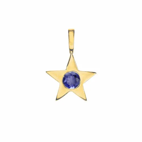 Star Birthstone Charm Necklace