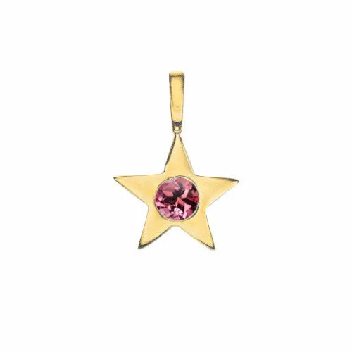 Star Birthstone Charm Necklace