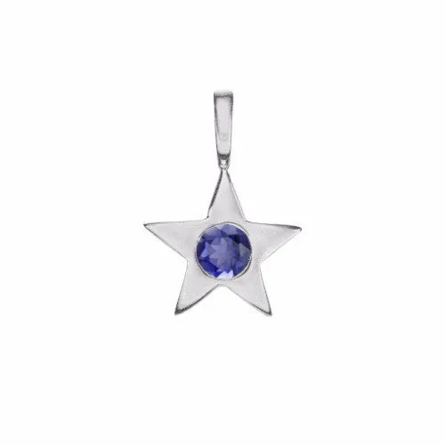 Star Birthstone Charm Necklace