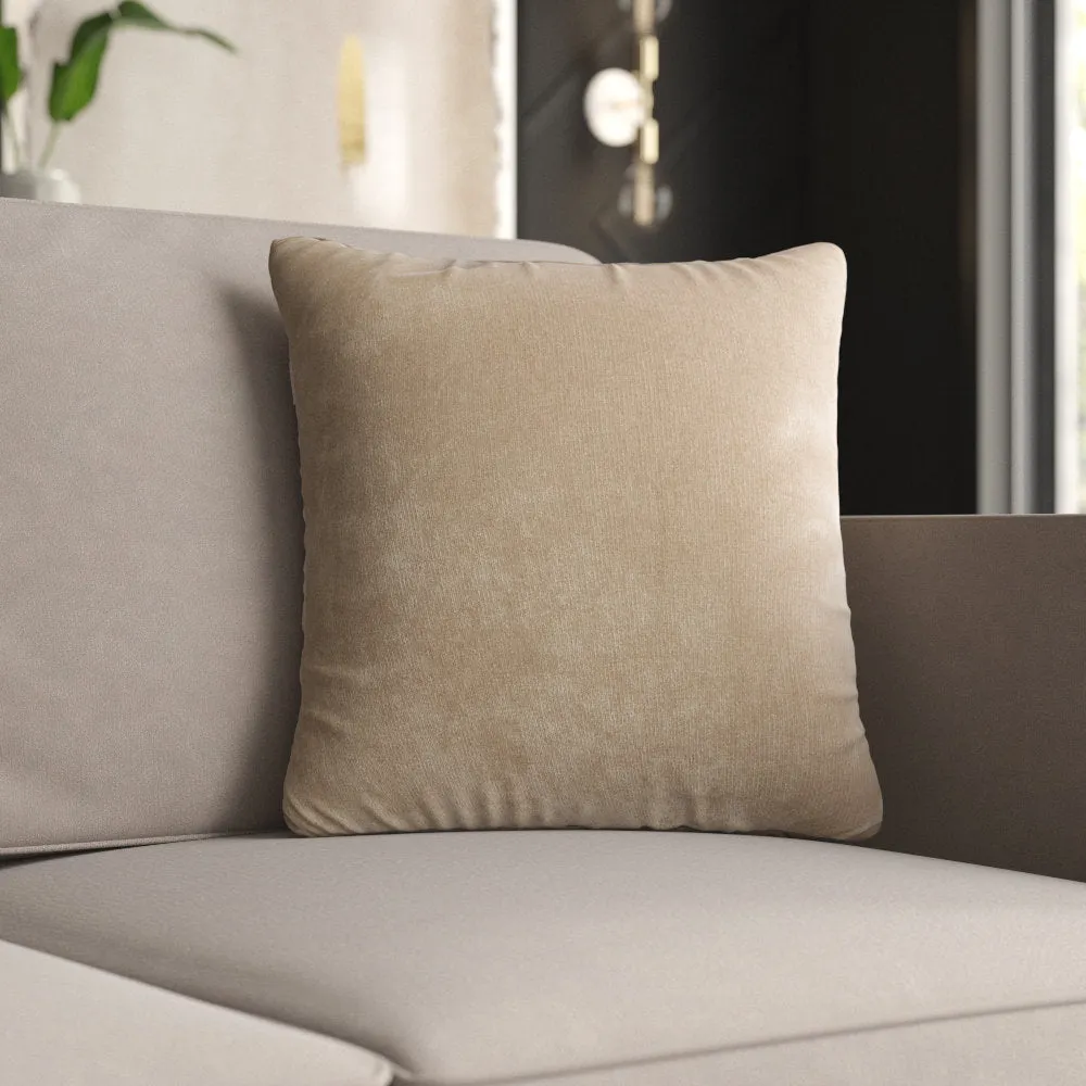Throw Pillow Cover & Insert Mercury Row® Color: Parchment Size: 20" x 20"