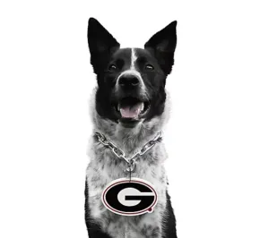 UGA Pet Fan Chain