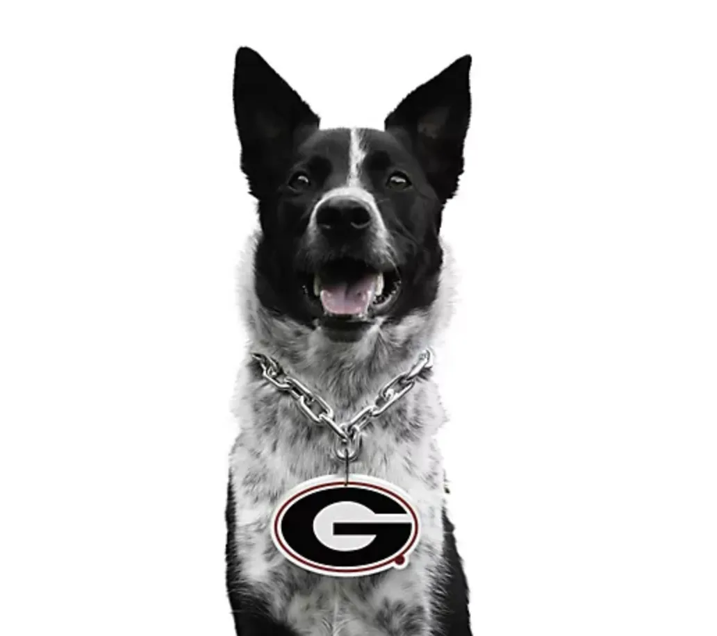 UGA Pet Fan Chain