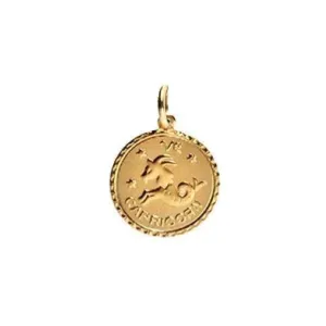 Zodiac Charm (WS)