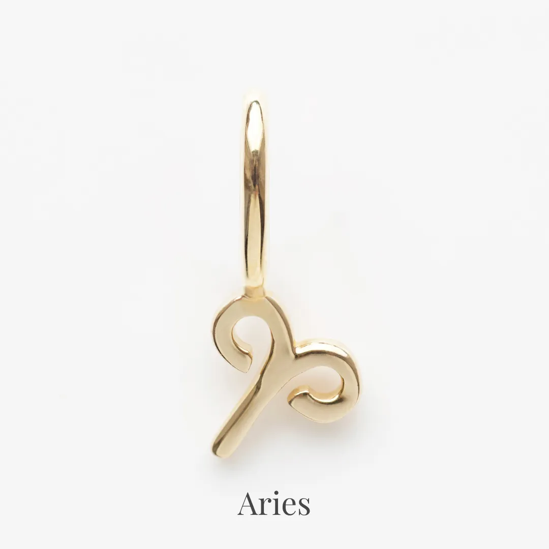 Zodiac Charm